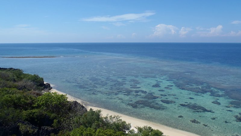 Apo Reef