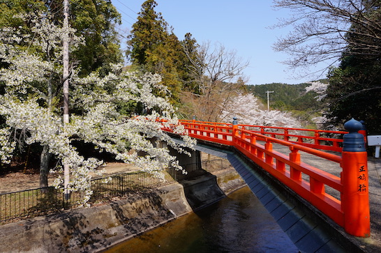 Seichakubashi bridge (正嫡橋)