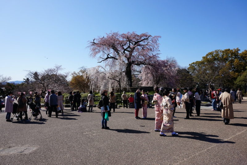 Maruyama park