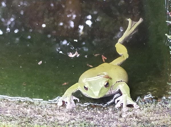 江文峠