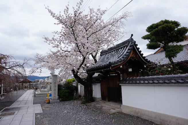 Honmanji temple