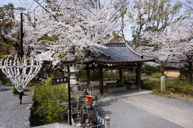Matsuotaisha shrine